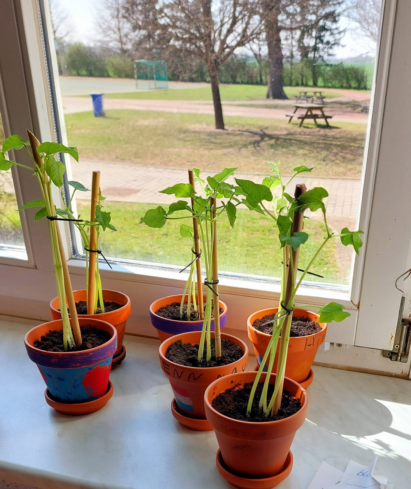 Hospizverein_RDG-Schulprojekt3